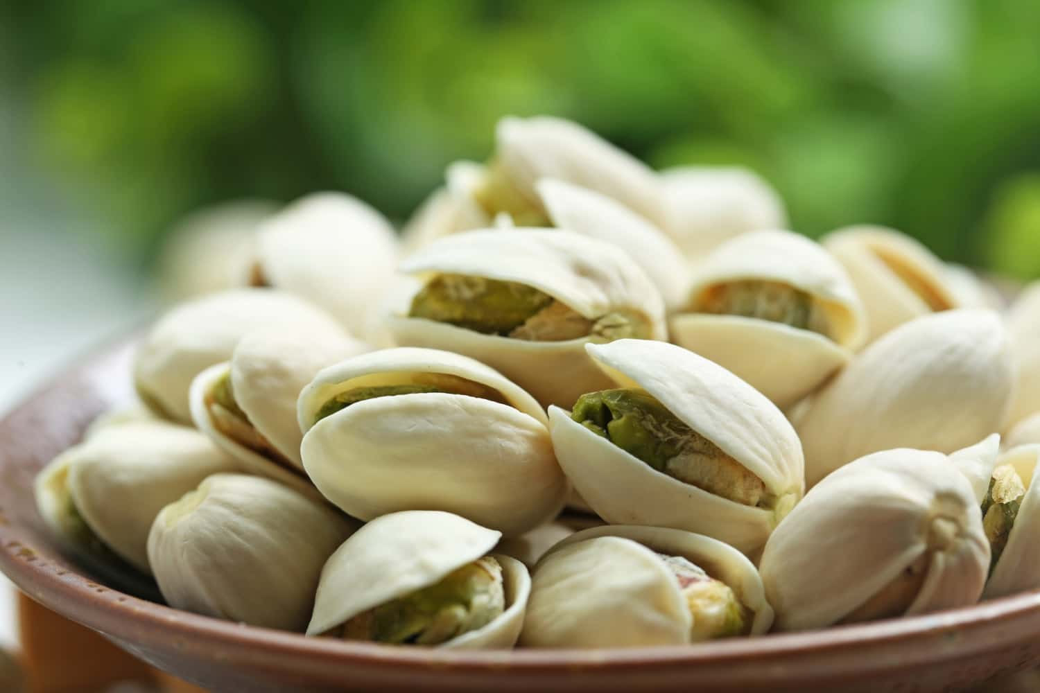 مغز پسته 